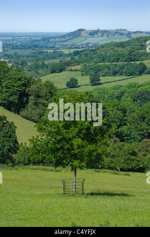 Cotswold paesaggio glocestershire saintbury Foto Stock