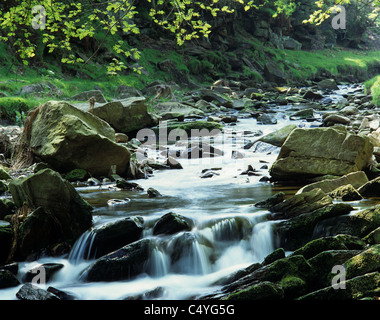 Fiume Goyt, Goyt Valley, Derbyshire. Foto Stock