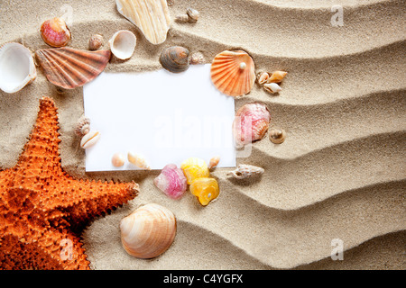 Copyspace carta bianca sulla bianca spiaggia di sabbia estate starfishand e conchiglie Foto Stock