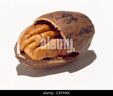 Un aperto a metà di noci pecan tagliate a guscio del dado Foto Stock