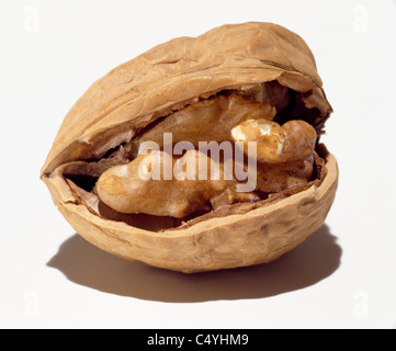 Un aperto a metà guscio di noce Foto Stock