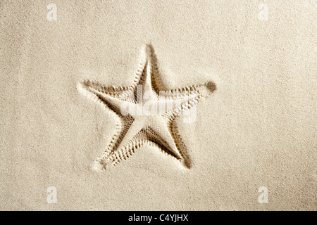 Spiaggia starfish stampa su bianco sabbia dei caraibi ad una vacanza estiva simbolo Foto Stock