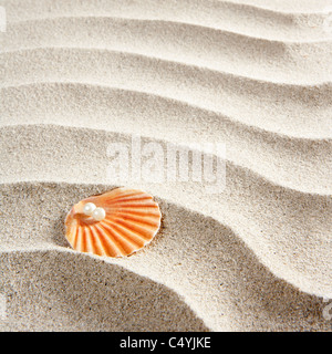 Perla caraibica sulla shell in bianco sabbia ondulata beach Foto Stock