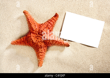 Carta bianca sulla spiaggia di sabbia bianca con stelle marine come le vacanze estive sullo sfondo Foto Stock