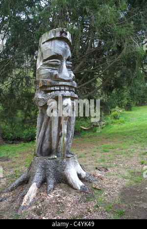 Un artista ha scolpito un volto whimsical su un ceppo di albero in Berkley, Massachusetts. Foto Stock