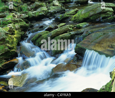 Fiume Goyt, Goyt Valley, Derbyshire. Foto Stock