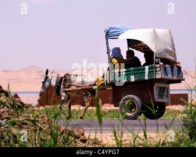 Persone @Fayoum Foto Stock