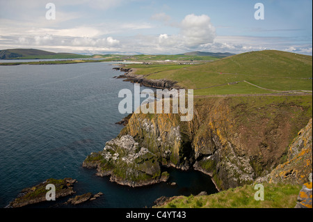 Il mare le scogliere degli uccelli a Sumburgh testa sulle Isole Shetland SCO 7344 Foto Stock