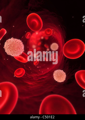 sangue in streaming Foto Stock
