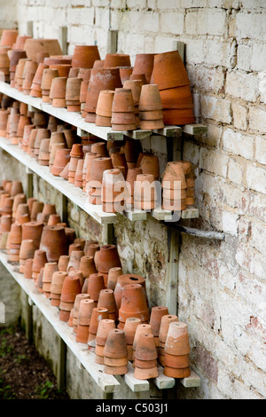 Vasi da fiori sui ripiani su un potting shed parete Foto Stock