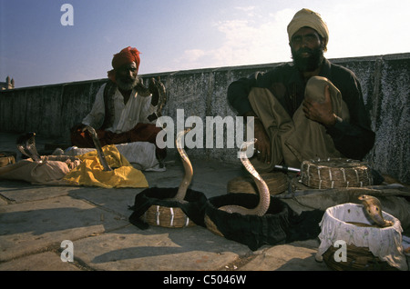 I membri di una antica tribù di incantatori di serpenti noto come saperas, che attraverso le generazioni hanno prosperato sulla cattura serpenti velenosi e rendendoli danza per la loro musica nella foto con serpenti cobra in strada a Mumbai India Foto Stock