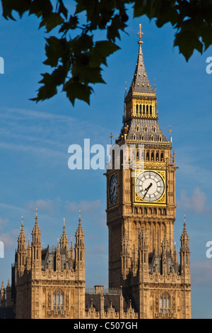 Big Ben clock tower,Casa del Parlamento Foto Stock