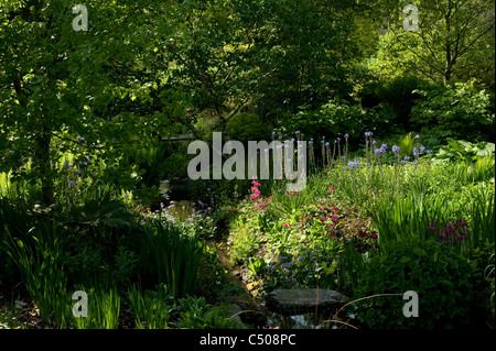 RHS Rosemoor Giardini in aprile, Devon, Inghilterra, Regno Unito Foto Stock