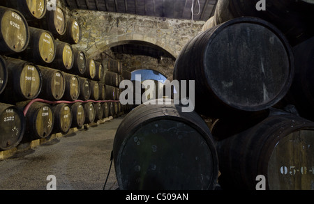 Botti di legno di diverse dimensioni tenere la porta vino fortificato a maturare in cantine di vino in Villa Nova de Gaia, Portogallo Foto Stock