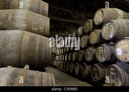 Botti di legno di diverse dimensioni tenere la porta vino fortificato a maturare in cantine di vino in Villa Nova de Gaia, Portogallo Foto Stock