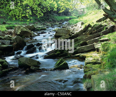 Fiume Goyt, Goyt Valley, Derbyshire. Foto Stock