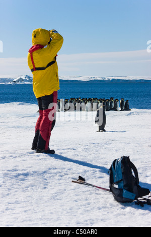 I turisti fotografare Pinguini imperatore su ghiaccio, Snow Hill Island, Antartide Foto Stock