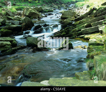 Fiume Goyt, Goyt Valley, Derbyshire. Foto Stock