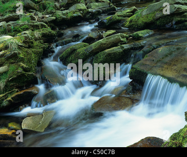 Fiume Goyt, Goyt Valley, Derbyshire. Foto Stock