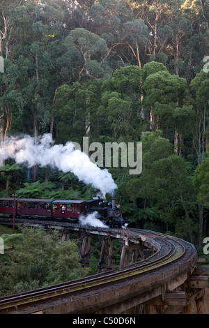 Questo secolo-vecchio treno a vapore è ancora in esecuzione sulla sua montagna originale in pista la scenic Dandenong Ranges Melbourne Australia Foto Stock