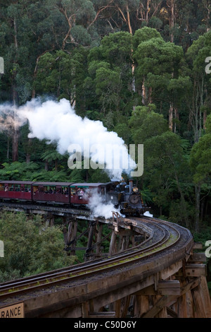 Questo secolo-vecchio treno a vapore è ancora in esecuzione sulla sua montagna originale in pista la scenic Dandenong Ranges Melbourne Australia Foto Stock