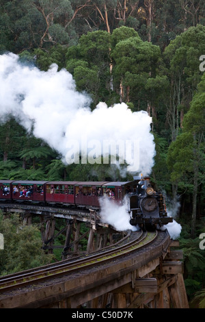 Questo secolo-vecchio treno a vapore è ancora in esecuzione sulla sua montagna originale in pista la scenic Dandenong Ranges Melbourne Australia Foto Stock