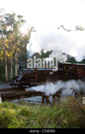 Questo secolo-vecchio treno a vapore è ancora in esecuzione sulla sua montagna originale in pista la scenic Dandenong Ranges Melbourne Australia Foto Stock