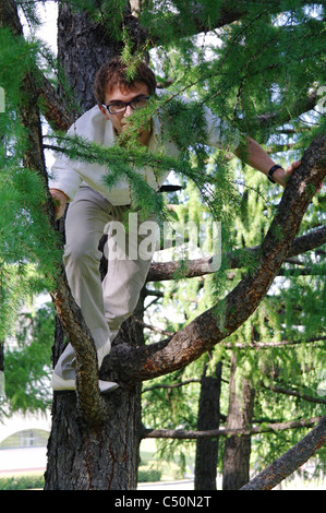 Un giovane uomo sorge sui rami di un albero nel parco, Mosca, Russia Foto Stock