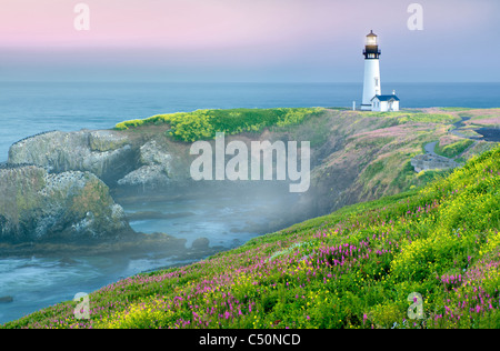 Yaquina Lighthouse con giallo senape e fireweed. Yaquina Capo, Oregon Foto Stock