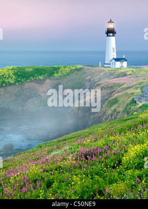 Yaquina Lighthouse con giallo senape e fireweed. Yaquina Capo, Oregon Foto Stock