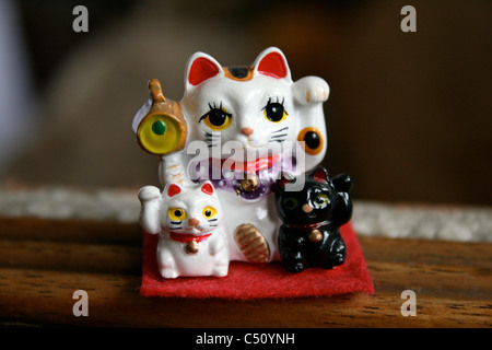 Chinese lucky cat Foto Stock