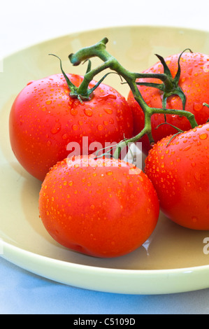 Quattro i pomodori con la vite in verde lime ciotola. Foto Stock