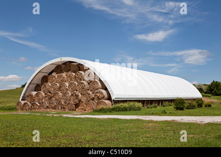 Ampio round di fieno, erba, erba medica, paglia, balle impilate alta nella grande cupola shelter in Iowa. Foto Stock