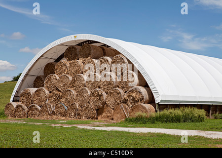 Ampio round di fieno, erba, erba medica, paglia, balle impilate alta nella grande cupola shelter in Iowa. Foto Stock