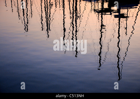 Stagliano alberi riflessi sull'acqua al tramonto Foto Stock