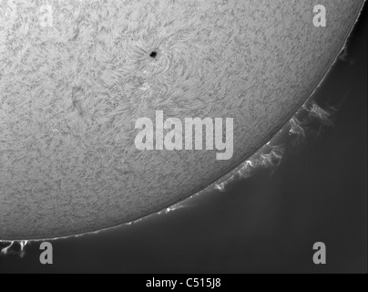 H-alfa Sun solare con sporgenze. Foto Stock