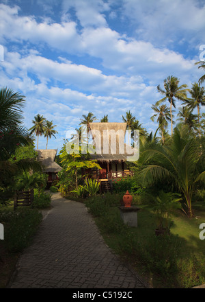 Questa è stata scattata al Phi Phi Island Village Resort in Thailandia e mostra uno dei resorts lodges circondato da alberi di palma. Foto Stock