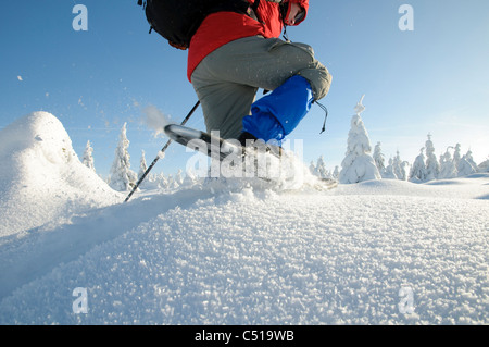 Uomo con le racchette da neve nel Parco Nazionale di Harz, Bassa Sassonia, Germania, Europa Foto Stock