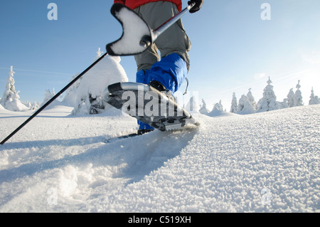 Uomo con le racchette da neve nel Parco Nazionale di Harz, Bassa Sassonia, Germania, Europa Foto Stock