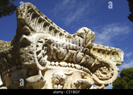 Africa, Tunisia, Tunisi, Cartagine Byrsa Hill, Rovine del pilastro scolpito nel quartiere punica Foto Stock