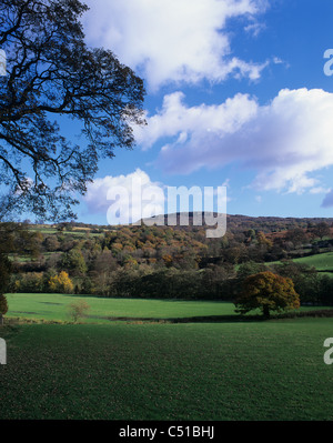 Millstone Edge da Leadmill, Peak District, Derbyshire. REGNO UNITO. Foto Stock