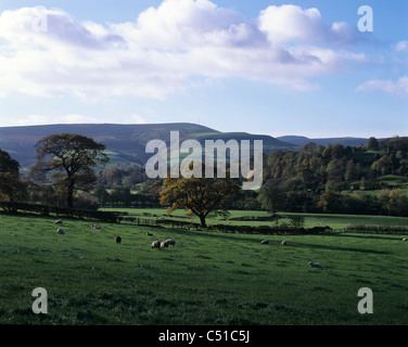 Thornhill e Shatton Moor, Peak District, Derbyshire. REGNO UNITO. Foto Stock