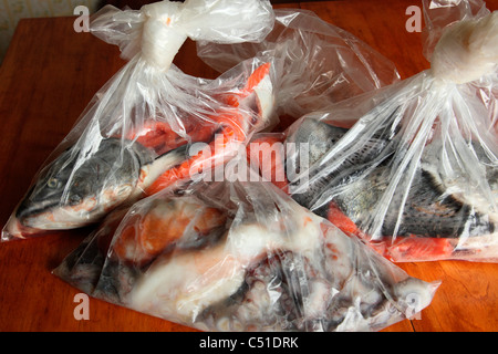 Testa di salmone e polpi in sacchetti di esca. Esca per la pesca halibut Foto Stock
