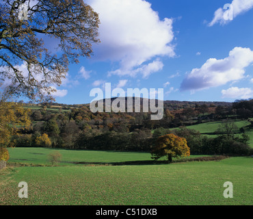 Millstone Edge da Leadmill, Peak District, Derbyshire. REGNO UNITO. Foto Stock