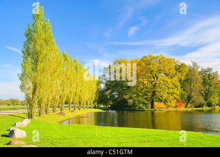 Parco Woerlitzer vedere - Inglese motivi di Woerlitz lago 16 Foto Stock