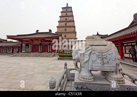 Da ci'en tempio complesso con la torre della Pagoda della Grande Oca Selvaggia, Xian, Shaanxi, Cina Foto Stock