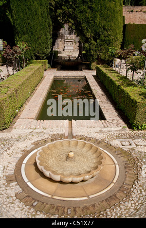 Granada Spagna Alhambra Palace Generalife laghetto in giardino goldfish Foto Stock