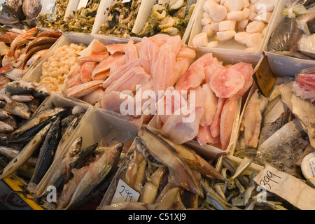 Pesce fresco al mercato pubblico in Rochester New York Foto Stock