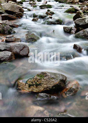 Creek, rallentare la velocità dello shutter, acqua di seta Foto Stock