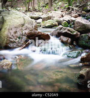 Creek, acqua, rallentare la velocità dello shutter, acqua di seta Foto Stock